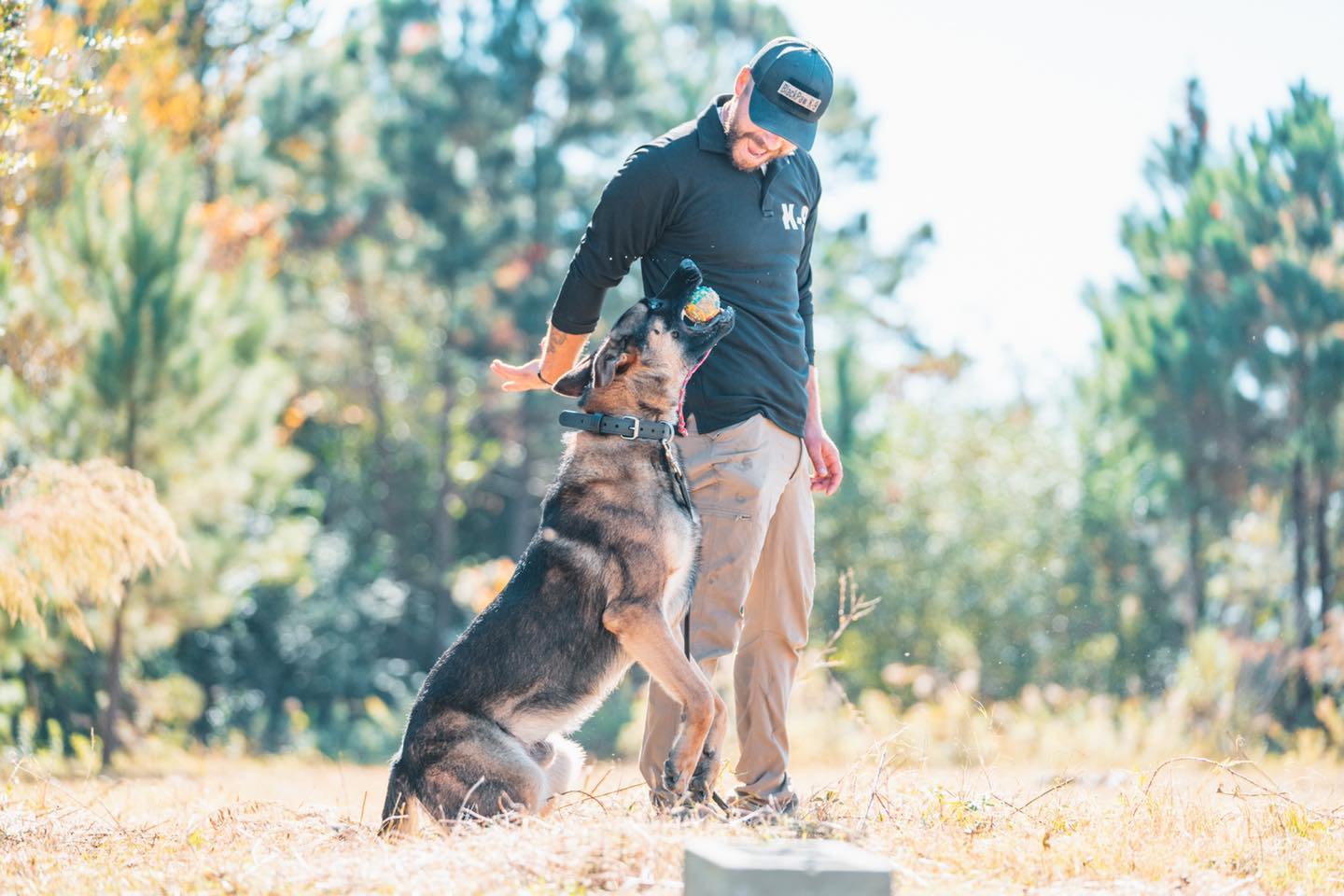 Private Dog Training Lessons Valdosta BlackPaw K9 Solutions