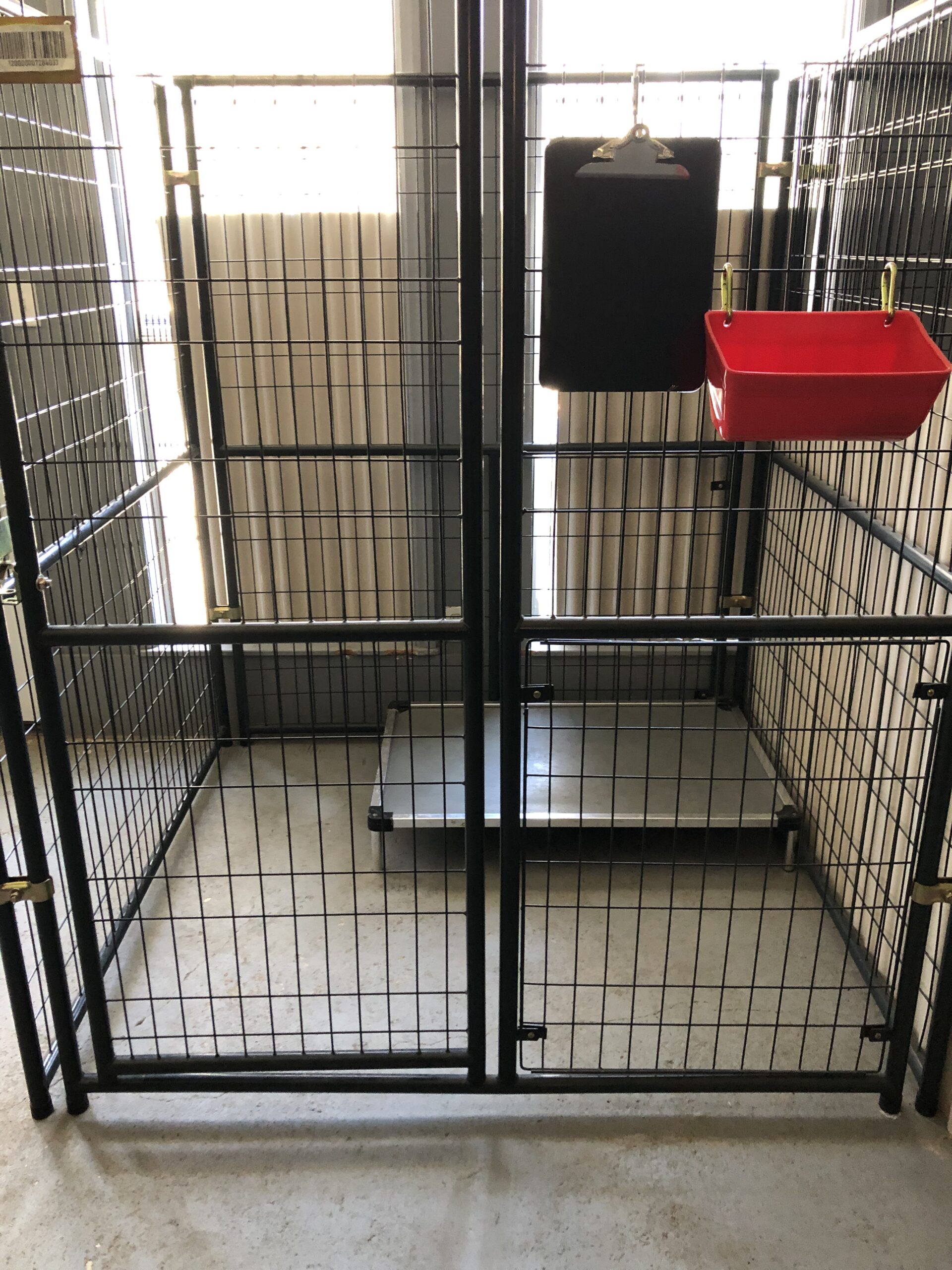 Boarding for Dogs in Valdosta, BlackPaw K9 Solutions