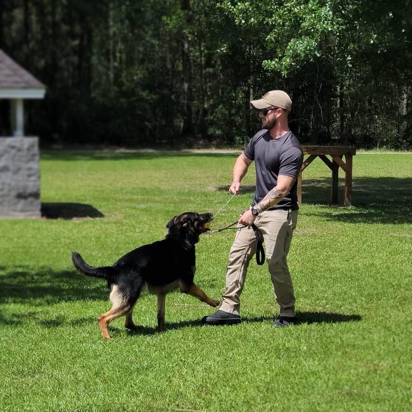 Pleasure & Protection K9 Training